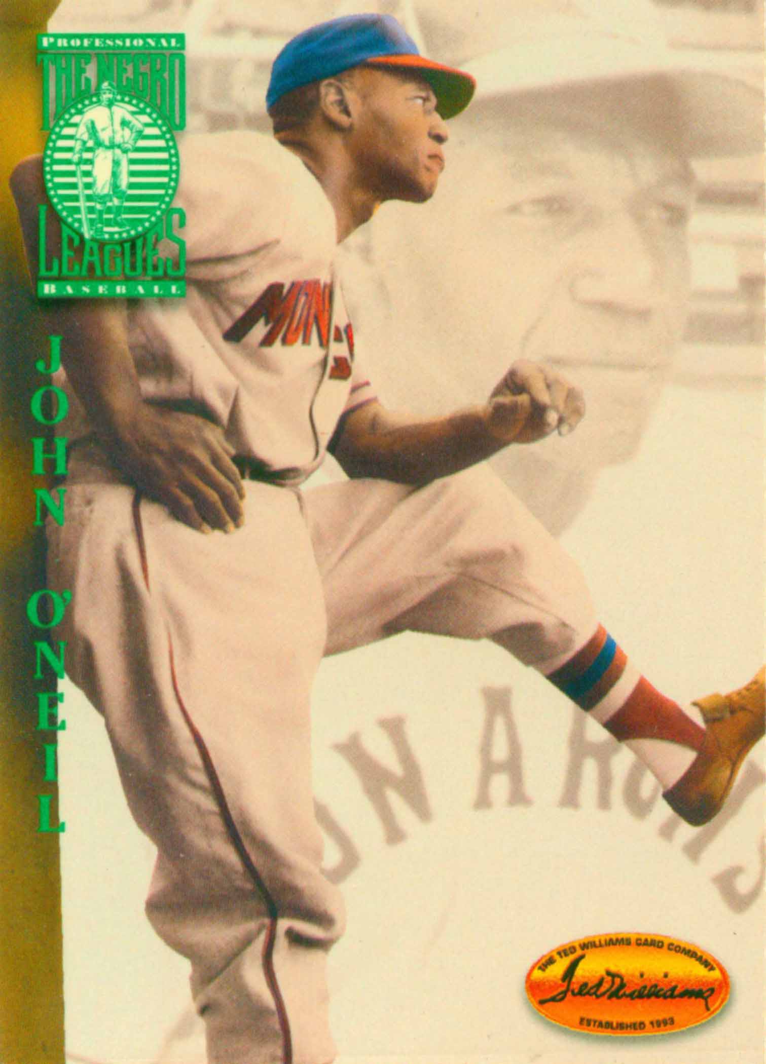 1994 Ted Williams